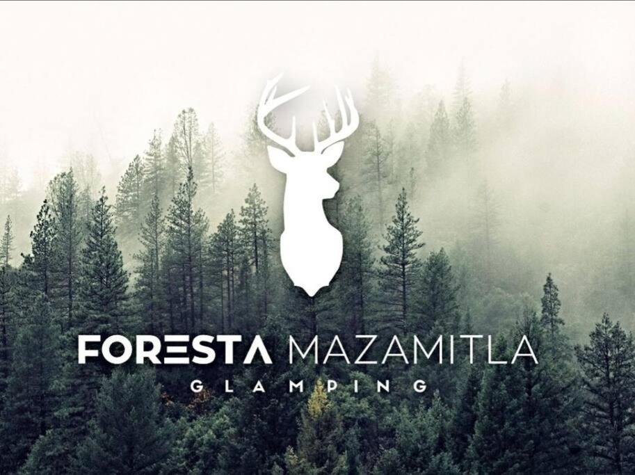 Encanto Natural 2 Mazamitla Εξωτερικό φωτογραφία